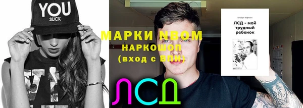 спиды Магас