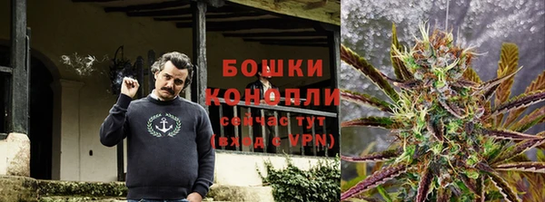 спиды Магас