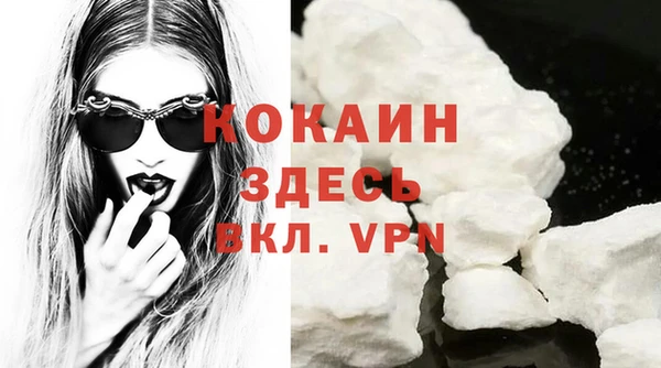 спиды Магас